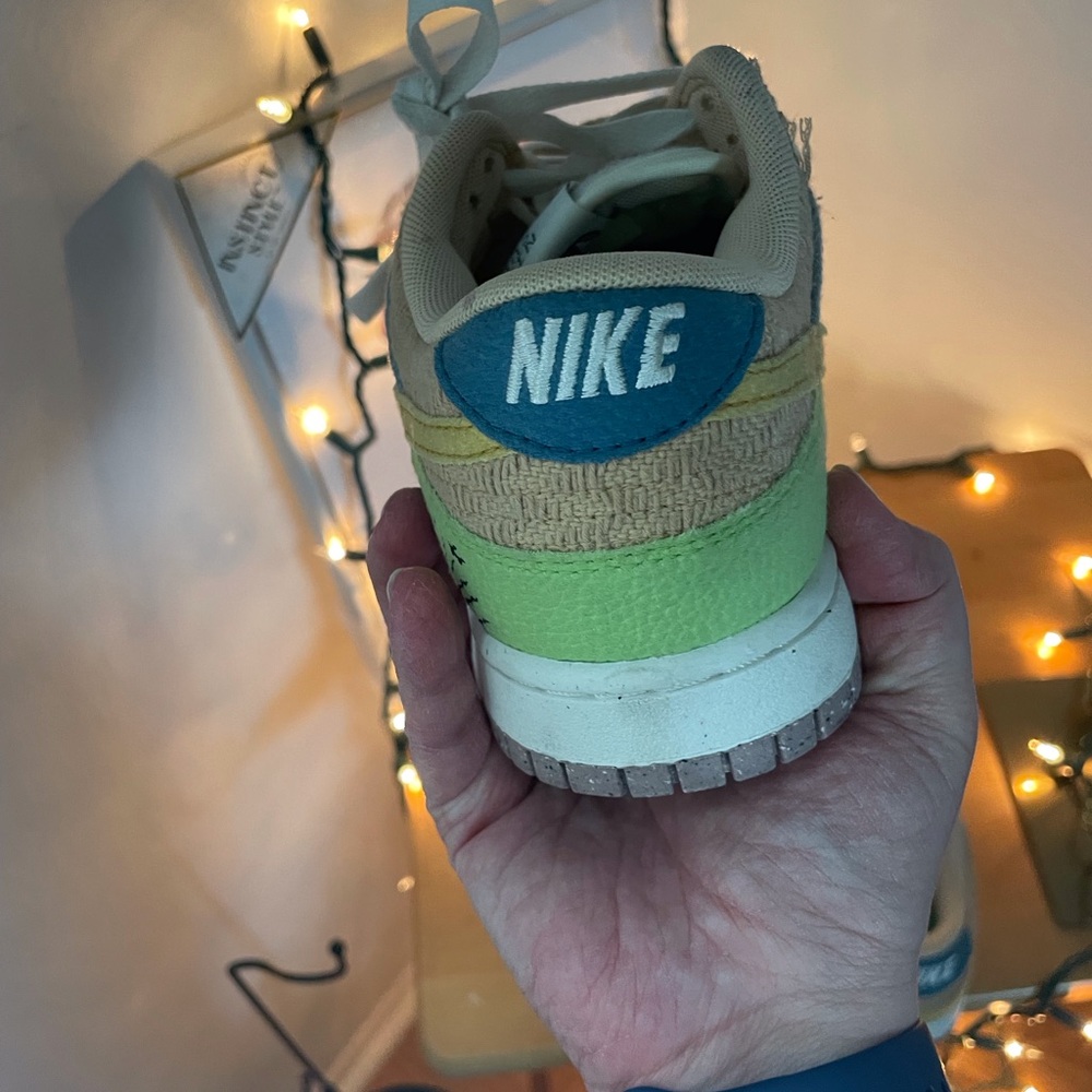 NTW Nike women’s Dunks no box